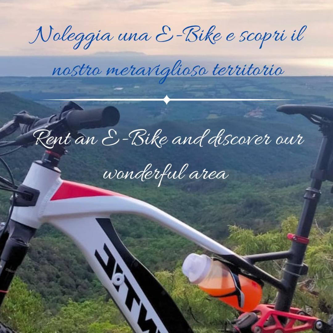 Podere San Filippo B&B-Apartment-Pet Friendly-Rent Bike And Bike Friendly Bibbona Kültér fotó